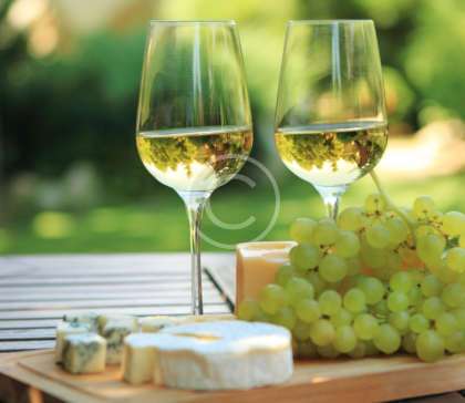 The healing properties of white wine /თეთრი ღვინის სამკურნალო თვისებები/ Лечебные свойства белого вина