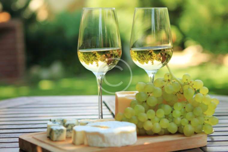 The healing properties of white wine /თეთრი ღვინის სამკურნალო თვისებები/ Лечебные свойства белого вина